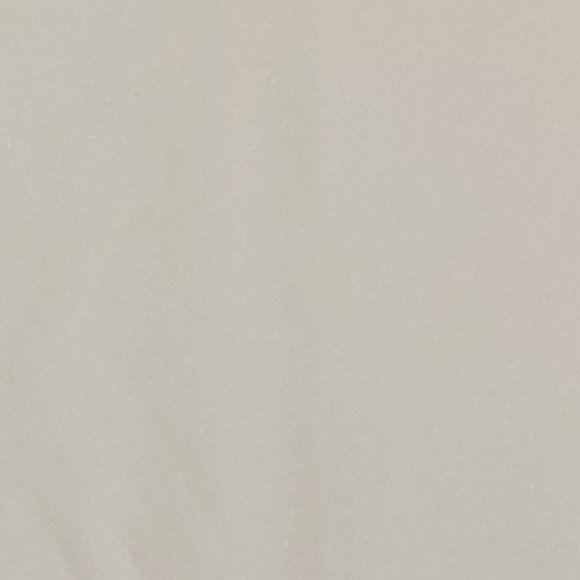 2 Short Sleeved Tees for Youth Size 10 - NWT - Picture 5 of 6